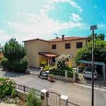 Martinis Yellow Novigrad Istria